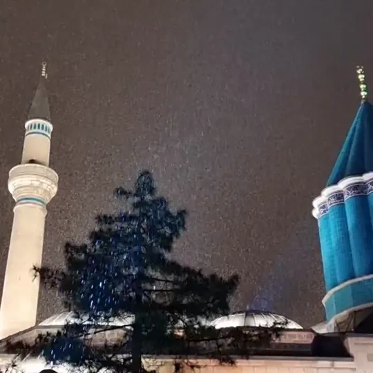 امشب ای دلدار، مهمان توایم